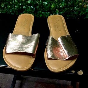 Coconuts by Matisse Sandels